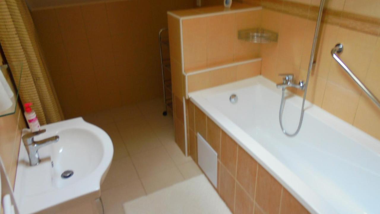 Apartman Aya Janov nad Nisou Extérieur photo