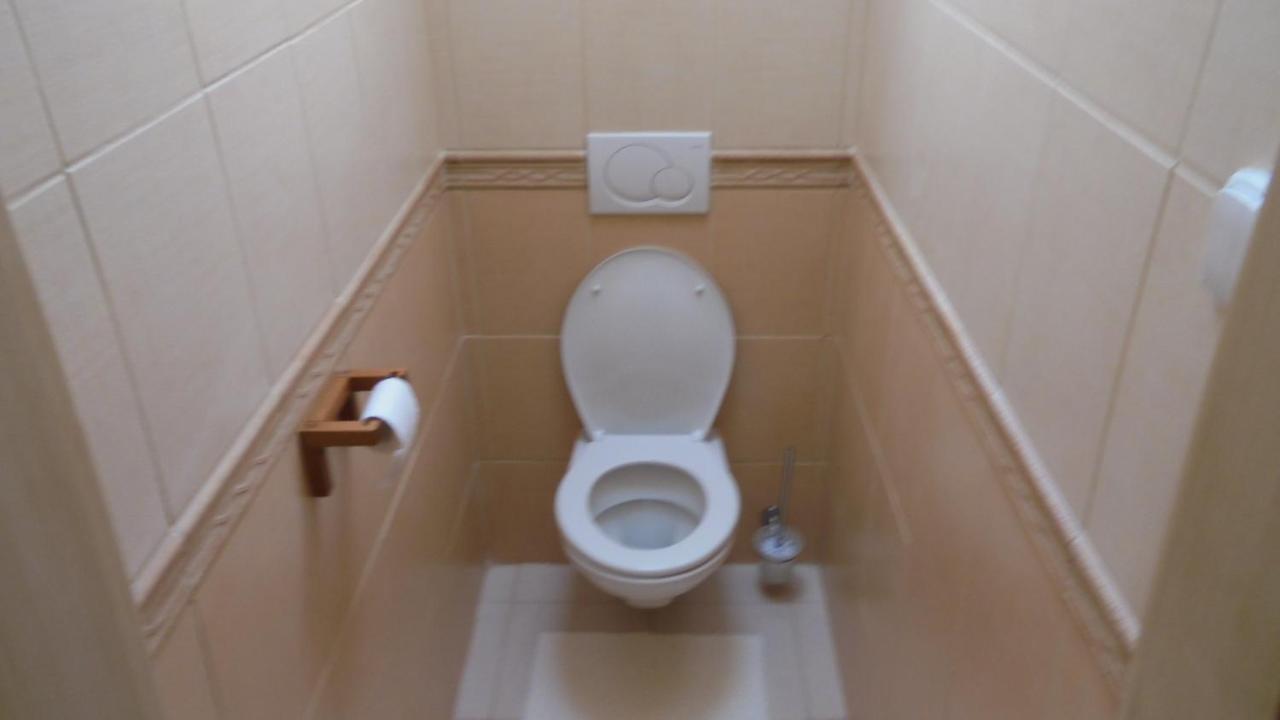 Apartman Aya Janov nad Nisou Extérieur photo