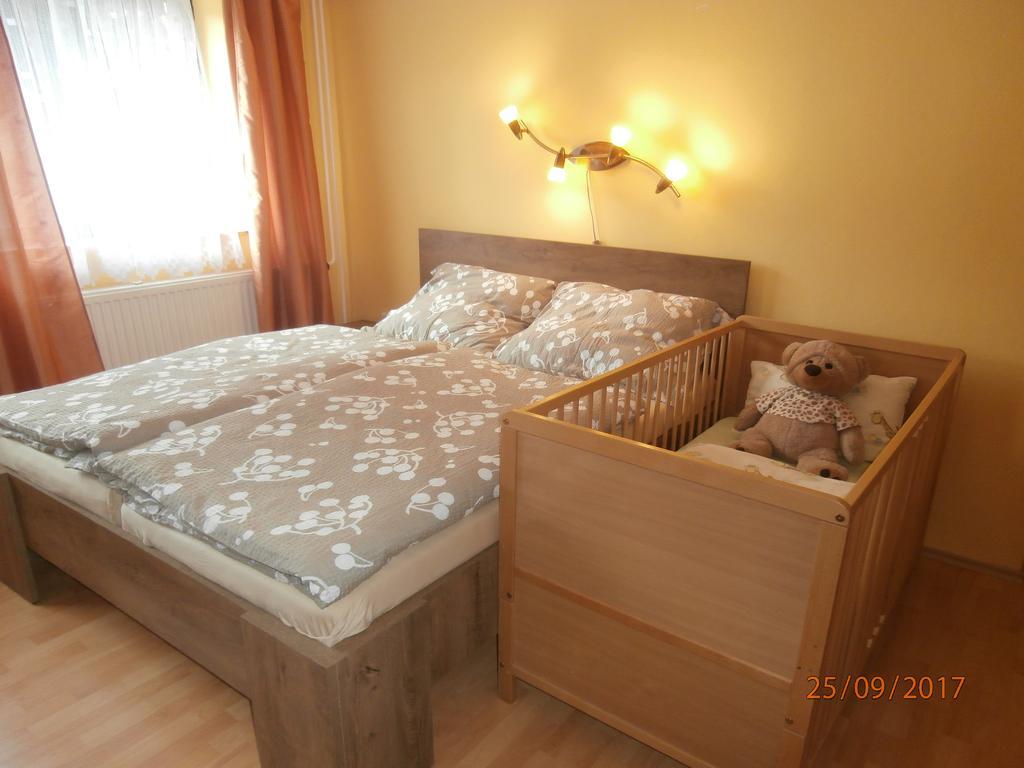 Apartman Aya Janov nad Nisou Extérieur photo