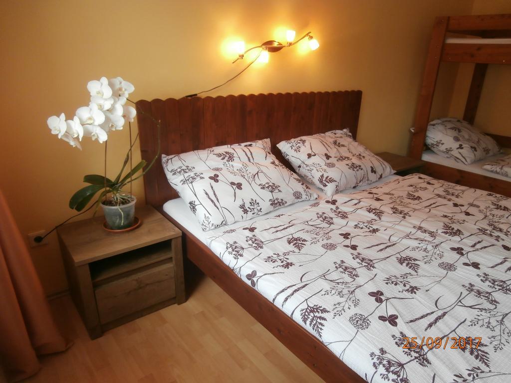 Apartman Aya Janov nad Nisou Extérieur photo