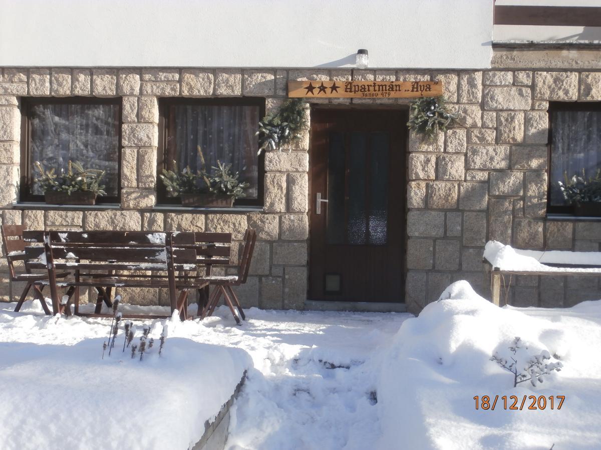 Apartman Aya Janov nad Nisou Extérieur photo